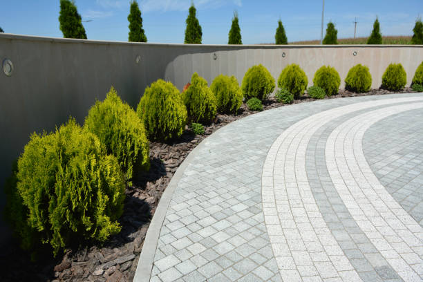 Best Driveway Paver Sealing  in Almedia, PA